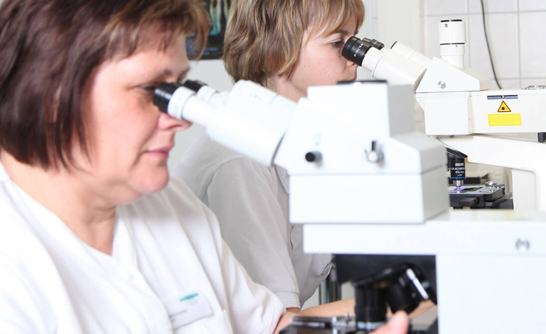 Institut für Labordiagnostik und Transfusionsmedizin Oberlausitz-Kliniken gGmbH Institut für Labordiagnostik und Transfusionsmedizin Oberlausitz-Kliniken gGmbH